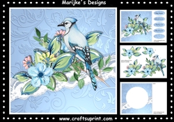 Beautiful Bird Mini Kit