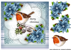Christmas Robin Quick Card