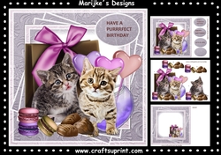 Sweet Birthday Kittens Mini Kit