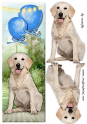 Large Dl Labrador