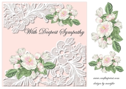 Quick Card Sympathy 3