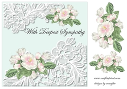 Sympathy 6