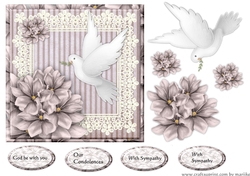 Quick Card Sympathy 2