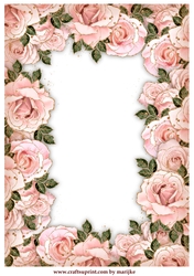 A4 Mixed Antiques Roses