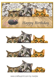 Funny Cats Birthday