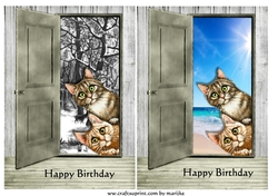 Funny Cats Toppers Birthday