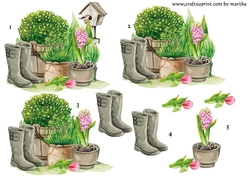 Step By Step The Garden