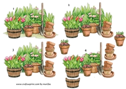 Step By Step Spring Garden