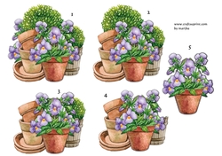 Step By Step Spring Garden 3