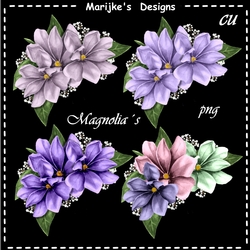 Magnolia Blossoms CU