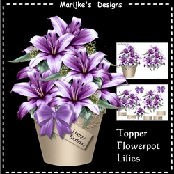 Topper Flowerpot Lilies Mini Kit