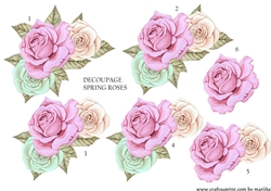 Soring Roses Step by Step