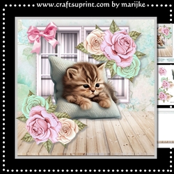Cute Kitten & Roses Mini Kit