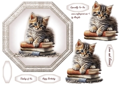 Octagon Vintage Kitten