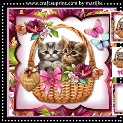 Kittens In basket Mini Kit