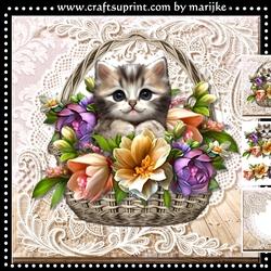 Kitten In Basket Mini Kit