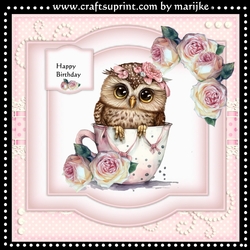 Cute Birthday Owl Mini Kit