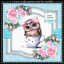 Owl In Teacup & Roses Mini Kit