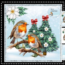 Red Robin´s Christmas Mini Kit