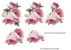 Step By Step Antique Pink Roses
