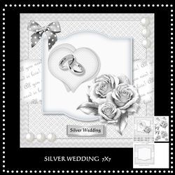 Silver Wedding Mini Kit