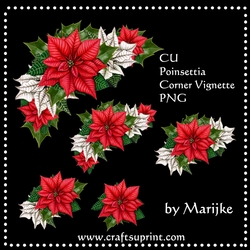 CU  Poinsettias Red & White