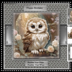 Wise Owl Male Card Mini Kit