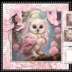 Beautiful Owl Mini Kit