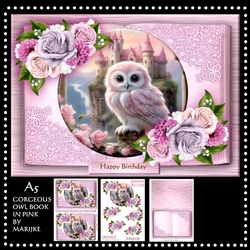 Gorgeous Owl Book In Pink Mini Kit