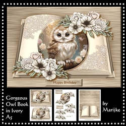 Gorgeous Owl Book In Ivory Mini Kit