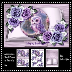 Gorgeous Owl Book In Purple