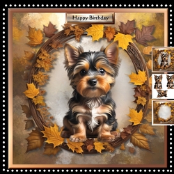 Male Card Yorki Mini Kit