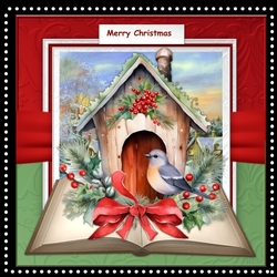 Christmas Bird Mini Kit