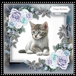 Gorgeous Kitten Mini Kit