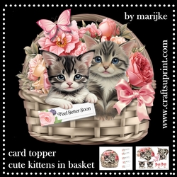 Cute Kittens In basket mini kit