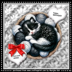 Sleeping Beauty Black and White Mini Kit