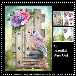 Beautiful Wise Owl Mini Kit