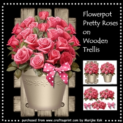 Flowerpot Pretty Roses on Wooden Trellis
