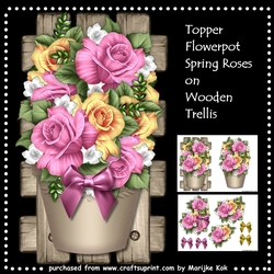 Flowerpot Spring Roses On Wooden Trellis Mini Kit