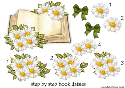 Book  Daisies  Step by Step