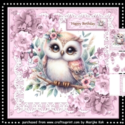 Beautiful  Owl  Mini Kit