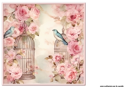Roses Insert 4