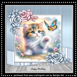 Playing Kitten mini Kit