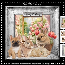 Cute pet  Friends Mini Kit