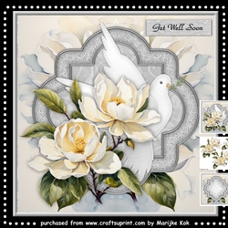 Dove and Magnolias