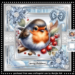 Robin´s Christmas Mini Kit