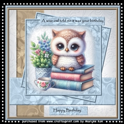 Mini Kit Cute Owl