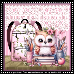 Birthday Girl Cute Owl Mini Kit