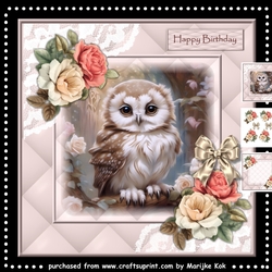 Gorgeous Baby Owl Mini Kit