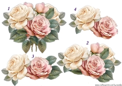  Step By Step Garden Roses